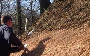 Renovatie van uw rieten dak